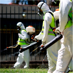 Misión Fumiplagas Ecologi
