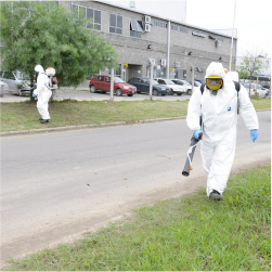 Visión Fumiplagas Ecologi